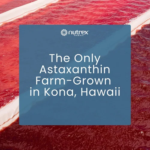 Miniatura 8 de Nutrex Hawaii BioAstin Astaxantina hawaiana - 12 mg, 60 gomitas - Suplemento antioxidante premium directo de granja para apoyar la salud
