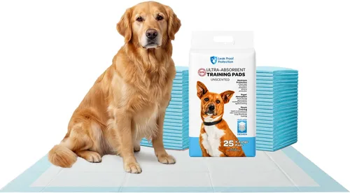 FPN - 25 almohadillas desechables extra grandes para orina para perros y cachorros, 25 unidades, 24 x 36 pulgadas, almohadillas de entrenamiento