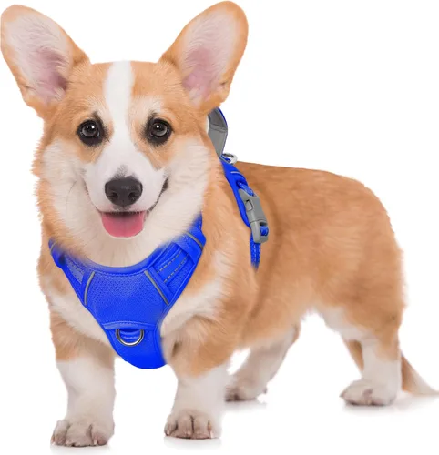 Miniatura 71 de BARKBAY Arnés para Perro Sin Tirones Talla Grande Arnés Reflectante para Perro con Clip Frontal y Asa de Control Fácil para Caminar Entrenar Correr