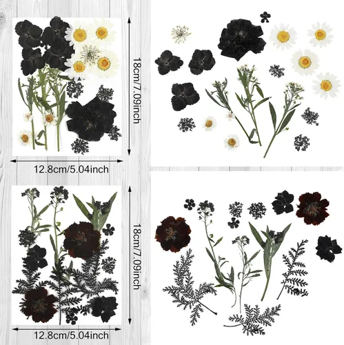 Miniatura 4 de Nuanchu Flores secas prensadas negras para manualidades, flores secas góticas, flores silvestres prensadas naturales a granel con pinzas para molde
