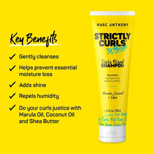 Miniatura 3 de Marc Anthony Champú para cabello rizado, estrictamente rizos, 3 veces más humedad para definir rizos y mejorar los rizos, manteca de karité, aceite
