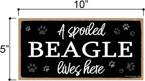 Miniatura 2 de Honey Dew Gifts A Spoiled Beagle Lives Here - Cartel colgante de perro de 5 x 10 pulgadas, arte de pared, letrero decorativo de madera