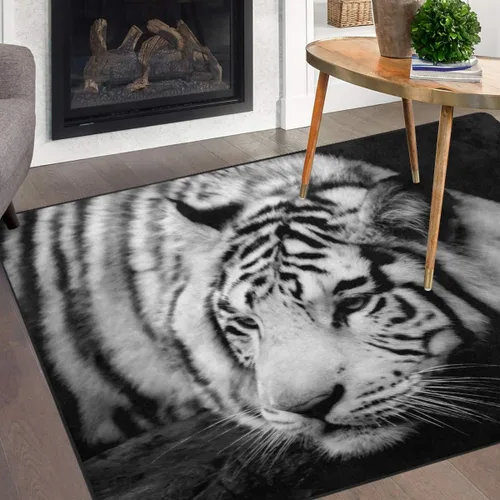 Miniatura 13 de Naanle Alfombra egipcia antideslizante para sala de estar, comedor, dormitorio, cocina, 1.7 x 2.6 pies (20 x 31 pulgadas / 19.7 x 31.5 in), alfombra
