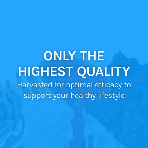 Miniatura 8 de Host Defense Breathe* Cápsulas – Suplemento de hongos de apoyo inmunológico y respiratorio – Suplemento herbario para la salud pulmonar con Chaga