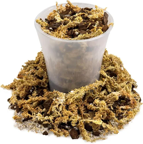 Miniatura 4 de Mezcla Premium de Musgo de Esfagno, Perlita y Corteza de Pino de Nueva Zelanda para Plantas Carnívoras - Perfecto para Trampas de Moscas Venus