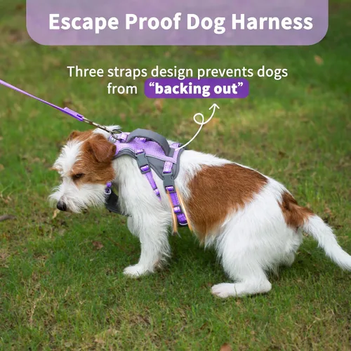 Miniatura 2 de Huntboo Arnés reflectante para perro con asa, a prueba de escape, antideslizante, transpirable, ligero, arnés de elevación ajustable para perros