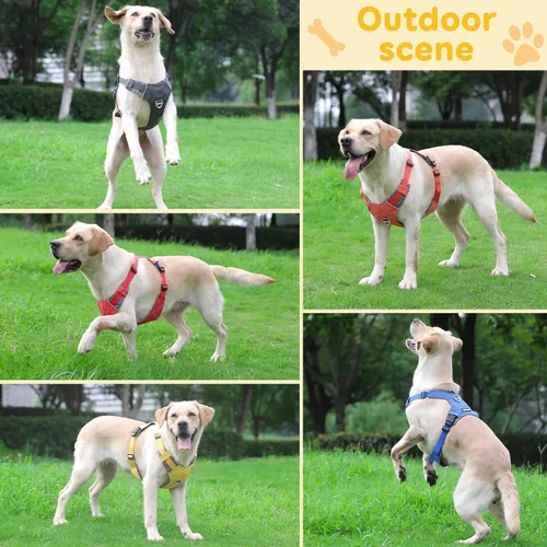 Miniatura 5 de LIOPARD Arnés para perro, arnés para mascotas fácil de caminar sin tirones, con 2 clips para correa, chaleco reflectante suave acolchado ajustable