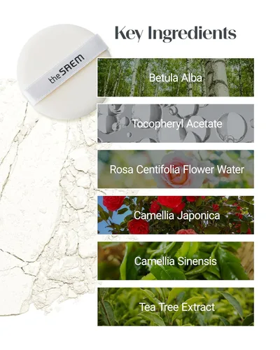 Miniatura 5 de THESAEM Saemmul Perfect Pore Pact - Polvo facial para control de sebo para la absorción de aceite y fijación del maquillaje - Polvo compacto