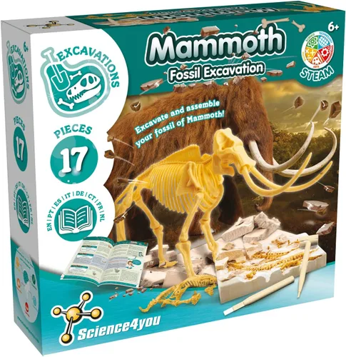 Miniatura 7 de Science4you T Rex - Kit de excavación de fósiles para niños, dinosaurios T Rex, excavar y ensamblar 10 piezas, kit de excavación para niños +