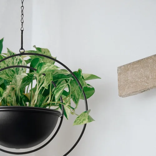 Miniatura 7 de Hajia 1 paquete de soporte colgante en forma de luna con maceta desmontable de 8 pulgadas, colgador de metal negro para interiores y exteriores