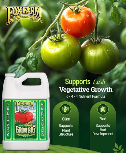 Miniatura 2 de FoxFarm Grow Big - Alimento líquido para plantas en floración - Fertilizante para flores, frutas y verduras, perfecto para plantas en macetas
