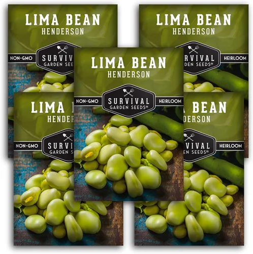 Miniatura 12 de Semillas de lima para plantar – Semillas de frijol Henderson Butter para jardines y proyectos científicos en el aula, variedad autóctona sin OMG