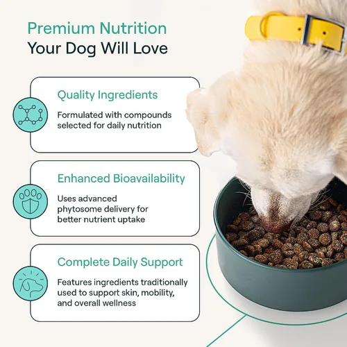 Miniatura 3 de POP-Topper - Comida para perros – Polvo multivitamínico para perros de 35 libras en adelante – Deliciosa base de caldo de huesos con 6