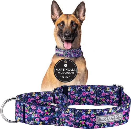 Miniatura 7 de Lucky Love Dog Collar Ancho para Perros - Collar Ajustable, Duradero, Tejido Suave y Cómodo de 1.5 Pulgadas de Ancho para Perros Machos y Hembras