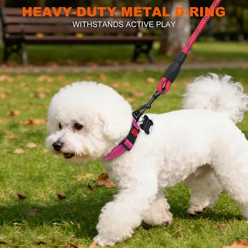 Miniatura 6 de Taglory Collar reflectante para perros con hebilla de bloqueo a prueba de escape, neopreno suave acolchado y anillo de aleación de zinc mejorado