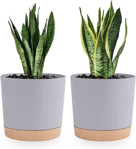 Miniatura 11 de QCQHDU Maceta de 8 pulgadas, paquete de 2 macetas para plantas de interior con agujeros de drenaje y platillo, macetas para exteriores, decoración