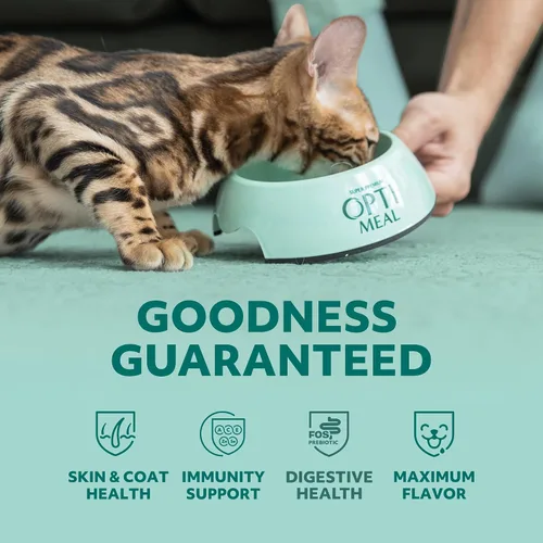 Miniatura 8 de Optimeal Bolsas de comida húmeda para gatos sin granos, pollo y pavo en salsa sabrosa, bocados tiernos ricos en proteínas y humedad, comida húmeda