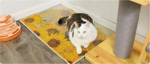 Miniatura 9 de Protector de alfombra resistente para puerta, plástico resistente que evita que gatos y perros rayen tu alfombra y alfombras en las puertas