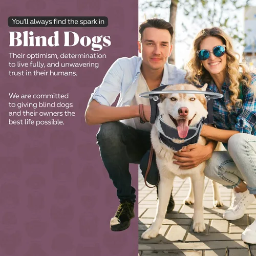Miniatura 4 de Muffin's Halo® - El halo original para perro ciego Arnés y collar de parachoques accesorio para una navegación segura y confianza - Negro, talla 1