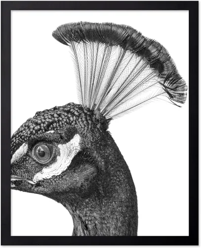 Miniatura 9 de Poster Master Póster de Chimpancé - Impresión de Mono Leyendo Periódico - Arte de Pared de Mono - Regalo para Hombres, Mujeres y Amantes