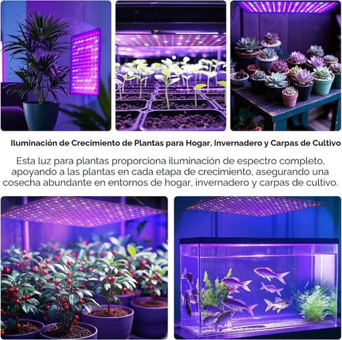 Miniatura 8 de Paquete de 2 paneles LED de luz de crecimiento de 200 W para plantas de interior, espectro completo con LED UV IR blanco, azul, rojo, para cobertura