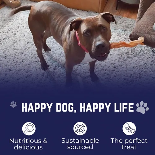 Miniatura 3 de Devil Dog Pet Co. Palitos Bully Trenzados para Perros – Paquete de 3 Golosinas Masticables de 6 Pulgadas, 100% Naturales, de un Solo Ingrediente