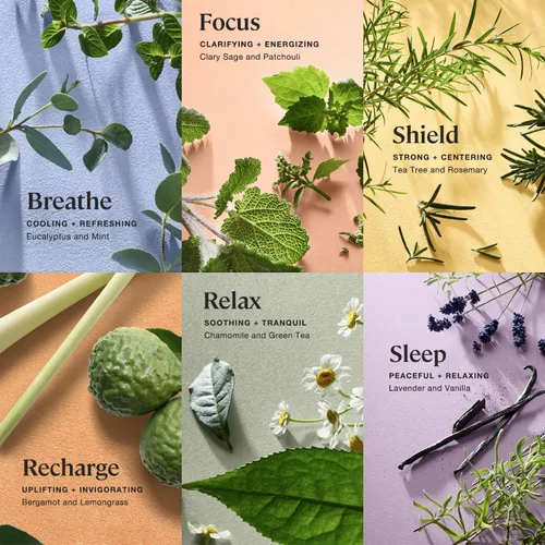Miniatura 2 de Sprig by KOHLER - Juego de regalo de bombas de baño, hipoalergénico, fabricado con ingredientes botánicos naturales e ingredientes de primera