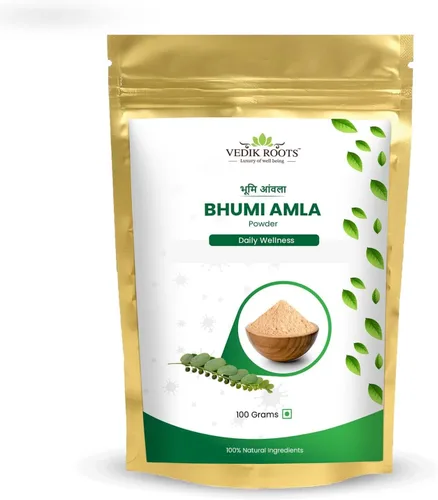 Miniatura 10 de Polvo orgánico de Bhumi Amla – Rico en Vitamina C Antioxidante – Apoya la Función Inmune Saludable 100 Gm (Paquete de 2)