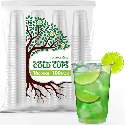 Stock Your Home Vasos fríos transparentes de 16 onzas (paquete de 100), vasos desechables para agua, vino, muestras de cerveza