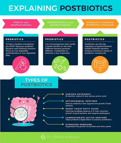 Miniatura 3 de Dr. Ohhira's Probióticos Fórmula Profesional con Prebióticos Fermentados de 5 Años, Probióticos Activos Vivos y El Único Producto con Metabolitos