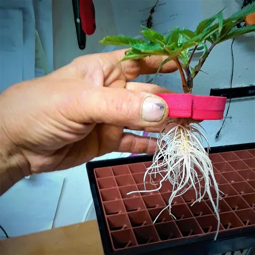 Miniatura 4 de máquina de aeroponia para injertos con 36 espacios