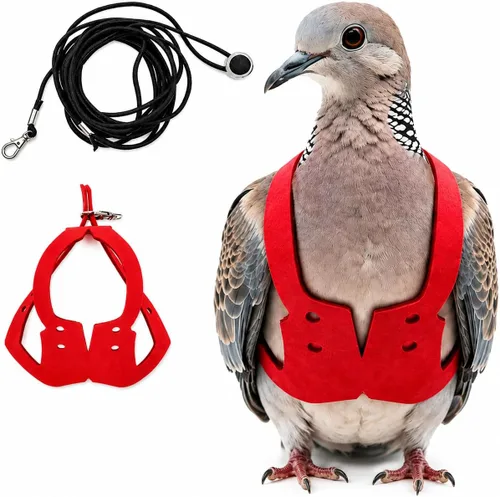 Miniatura 14 de Juego de arnés ajustable y correa para pájaros pequeños, apto para periquitos, conures, cacatúas, mejillas verdes, loros cuáqueros (verde, XS) 6350-6