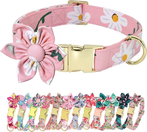 Miniatura 17 de Collares de perro femeninos Beirui con patrones florales vibrantes, collar de perro hembra con flor para caminar, collar ajustable duradero