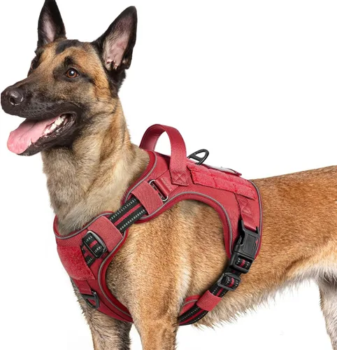 Miniatura 38 de rabbitgoo - Arnés para perros pequeño sin tirones, chaleco táctico de servicio con Molle y asa de control, arnés militar ajustable y reflectante