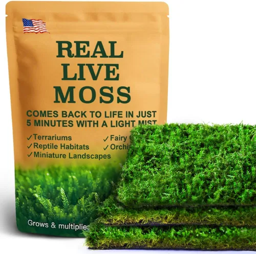 Miniatura 15 de Real Live Moss - Paquete variado (cada uno de 3.5 x 7 pulgadas), musgo real decorativo para terrarios, mini jardines, plantas en maceta y bonsái