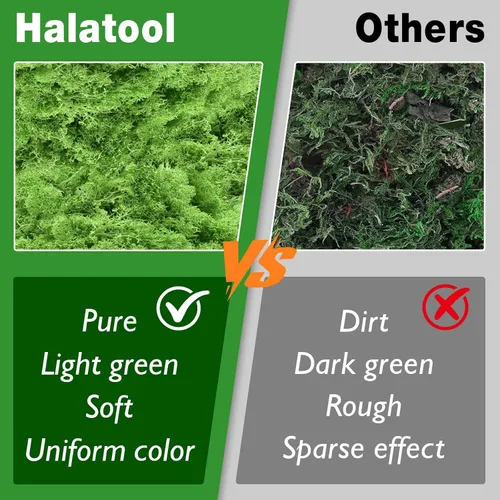 Miniatura 5 de Halatool Musgo de reno preservado para manualidades, musgo verde para terrarios, jardines de hadas, manualidades, decoración del hogar, ideal