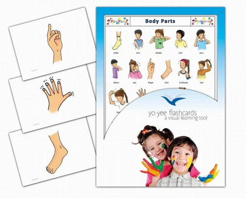 Miniatura 23 de Tarjetas didácticas de adjetivos para niños en edad preescolar, niños pequeños y adultos - Set 1 - Incluye actividades de enseñanza