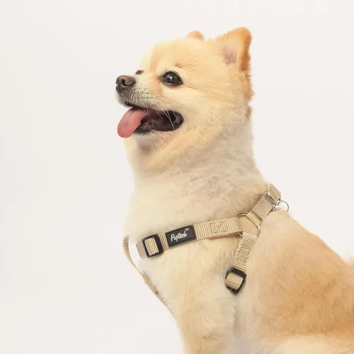 Miniatura 5 de PUPTECK arnés para perro para no jalar, reflejante, ajustable, básico, de nailon, chaleco para cachorro, para caminar al aire libre con etiqueta