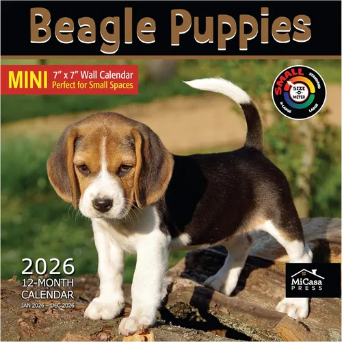 Miniatura 36 de MICASA PRESS Beagles - Calendario de pared 2026 de 12 meses 12 x 24 pulgadas abierto Papel grueso y resistente Regalo Lindo calendario