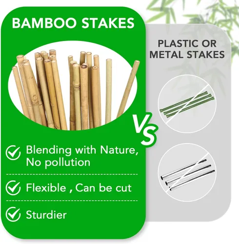 Miniatura 3 de SWANGSA Paquete de 40 estacas de bambú para plantas de 5 pies (57.5 pulgadas), palos de bambú para soporte de plantas de jardín con 200 lazos