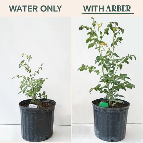 Miniatura 10 de Arber Bio Protectant Fungicida Orgánico para Plantas de Exterior y Concentrado Líquido Estimulante de Raíces Solución Natural de Jardinería que