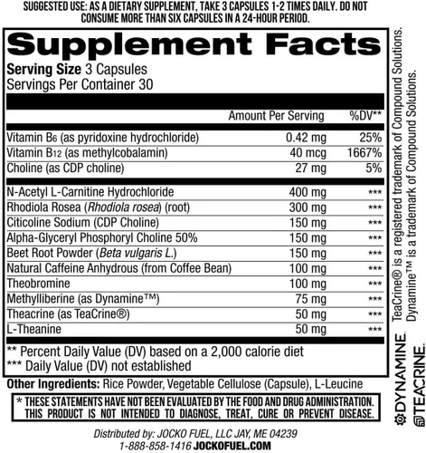Miniatura 7 de Jocko Fuel Brain Power - Suplementos dietéticos nootrópicos para la memoria y la concentración con L teanina, L carnitina, energía y suplemento
