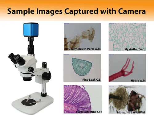 Miniatura 4 de VDT1080H 1080P 60FPS HDMI+WiFi Color CMOS Auto-Focus C-Mount Microscopio Cámara, 5MP Foto-Captura para imágenes independientes y PC, adaptador
