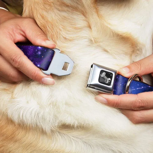 Miniatura 8 de Buckle-Down Collar de perro con hebilla de cinturón de seguridad, color azul galaxia/morado, 1 pulgada de ancho, se adapta a cuello de 9 a 15