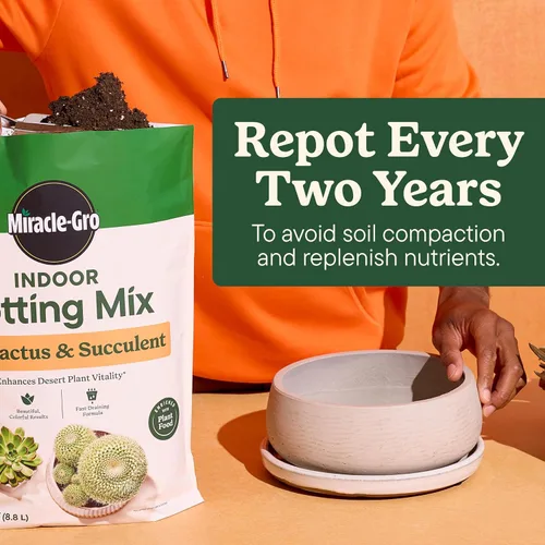 Miniatura 8 de Miracle-Gro Mezcla para macetas de interior para cactus y suculentas, mezcla para macetas de cactus y suculentas de drenaje rápido con alimentos