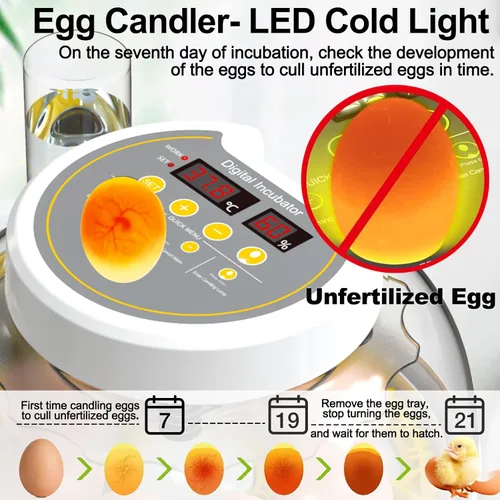 Miniatura 4 de Incubadoras de huevos para incubar huevos, incubadora de huevos de pollo 8/30 con giro automático de huevos, control de temperatura y pantalla