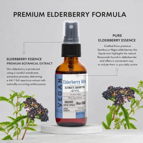 Miniatura 2 de Extracto líquido orgánico de saúco (Sambucus Nigra) - Fórmula líquida de calidad para niños y adultos - altos niveles de flavonoides, fácil