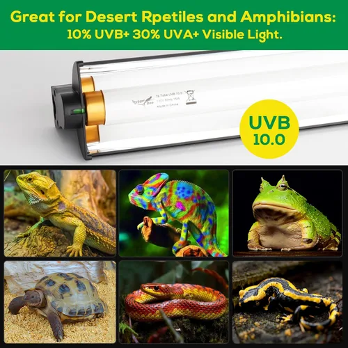 Miniatura 3 de T8 10.0 UVB - Kit combinado de iluminación de bombilla UVB para reptiles, luz UVB HO de 17 W para reptiles, campana de terrario con barra de luz UVB