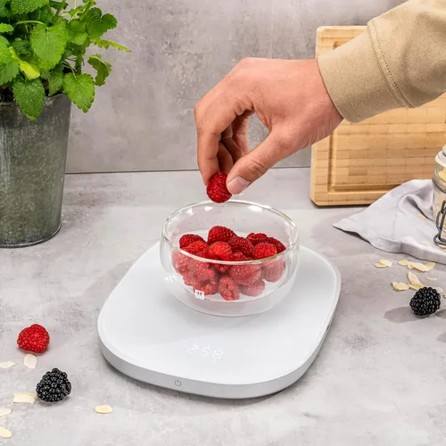 Miniatura 4 de ZWILLING Báscula de carga inalámbrica Enfinigy, color plateado