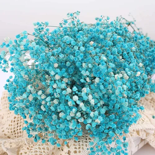 Ramo de flores secas de aliento de bebé, 17 pulgadas, más de 2500 flores secas azules, ramas de gypsophila naturales para bodas, decoración de D-blue